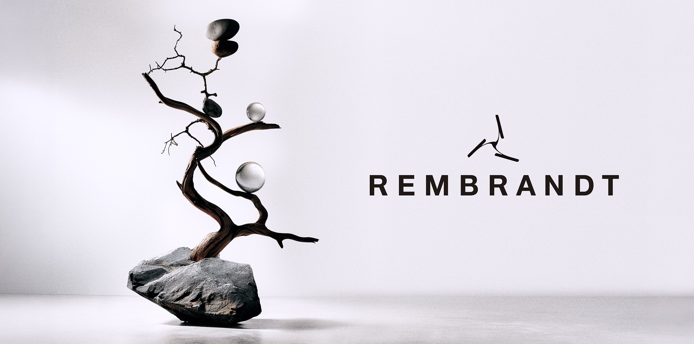 Rembrandt Image
